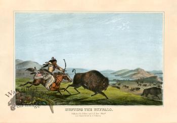 Hunting the Buffalo
